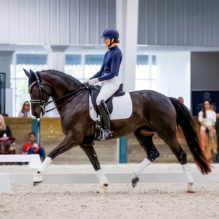 hester-trot_3656-ggplx-850px